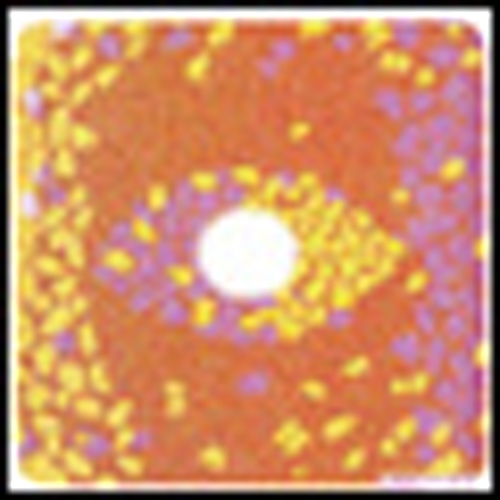 Cokin P 673 Spot2 Colors Y-P Filtre 