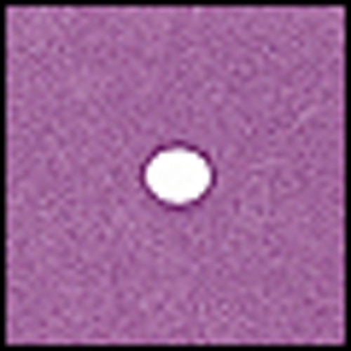 Cokin P 064 Spot Spot Violet  Filtre 