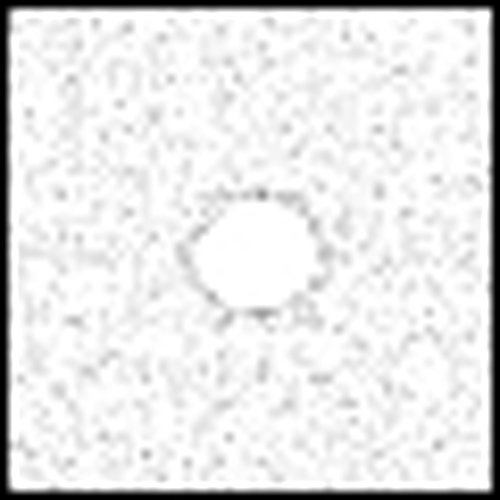 Cokin P 071 Spot W.A Incolor2 Filtre 