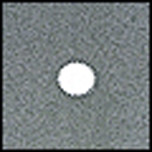 Cokin P 073 Spot W.A Grey2 Filtre 