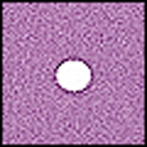 Cokin P 074 Spot W.A Violet Filtre 