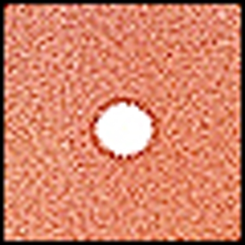 Cokin P 076 Spot W.A Orange Filtre 