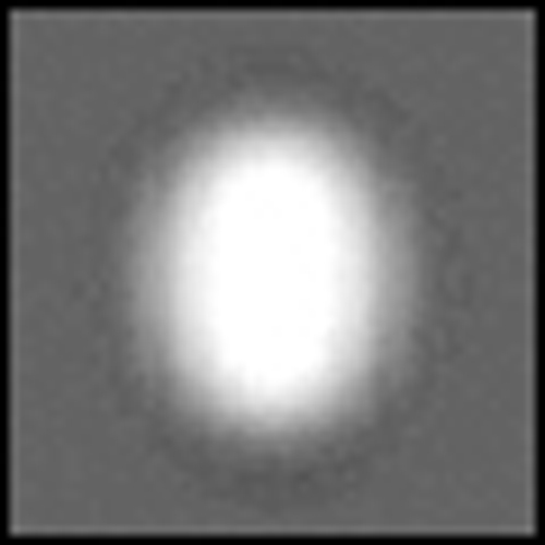 Cokin P141 Oual Spot Black Filtre 