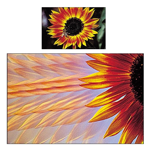Cokin P209 Multi-Image Parallel Filtre 