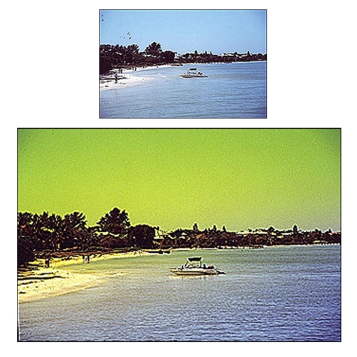 Cokin P660 Grad-Fluo Y1 Filtre  