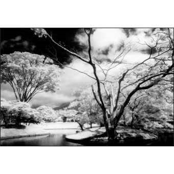 Cokin P 007 89B Infrared Filtre