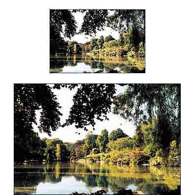 Cokin P 037  81EF Filtre 