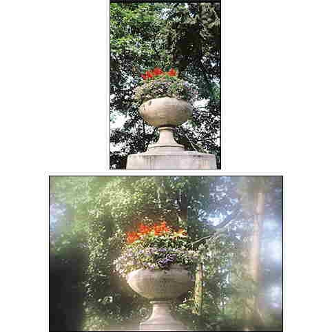 Cokin P 060 Spot Incolor  Filtre  