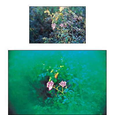 Cokin P 065 Spot Green  Filtre 