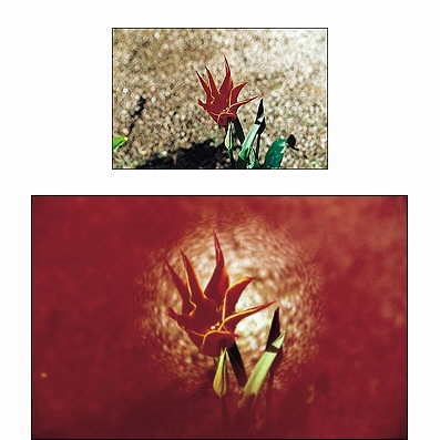 Cokin P 068 Spot Red Filtre 