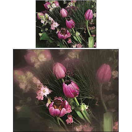 Cokin P 071 Spot W.A Incolor2 Filtre 