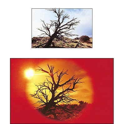 Cokin P 078 Spot W.A Red Filtre 